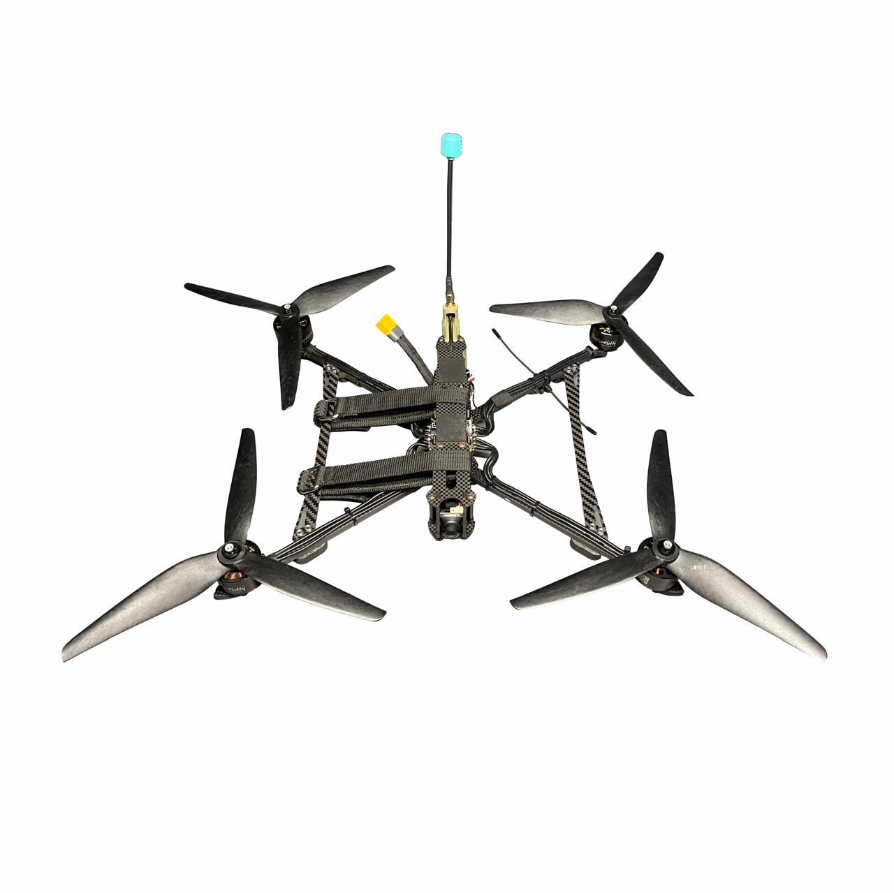 Dragonfly 10''